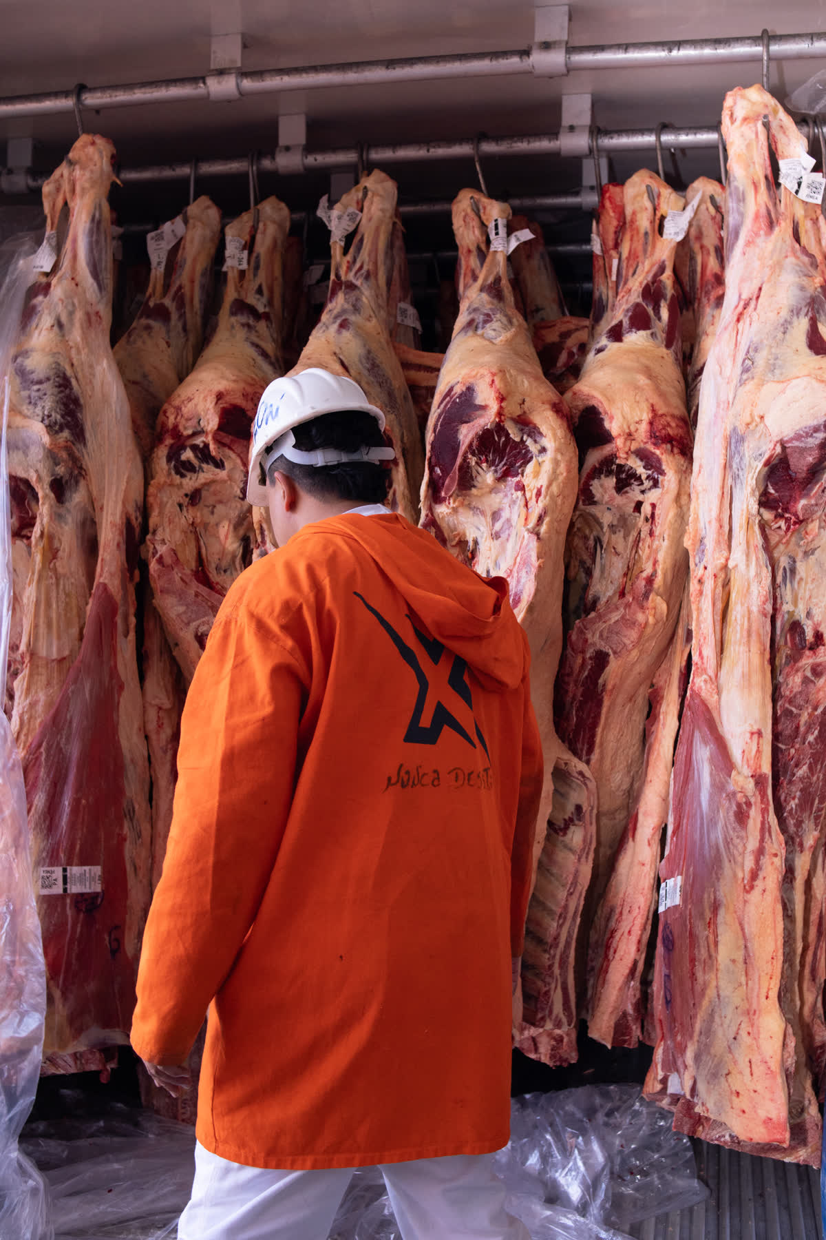 Colaborador BoiX de jaleco laranja conferindo carcaças na câmara fria