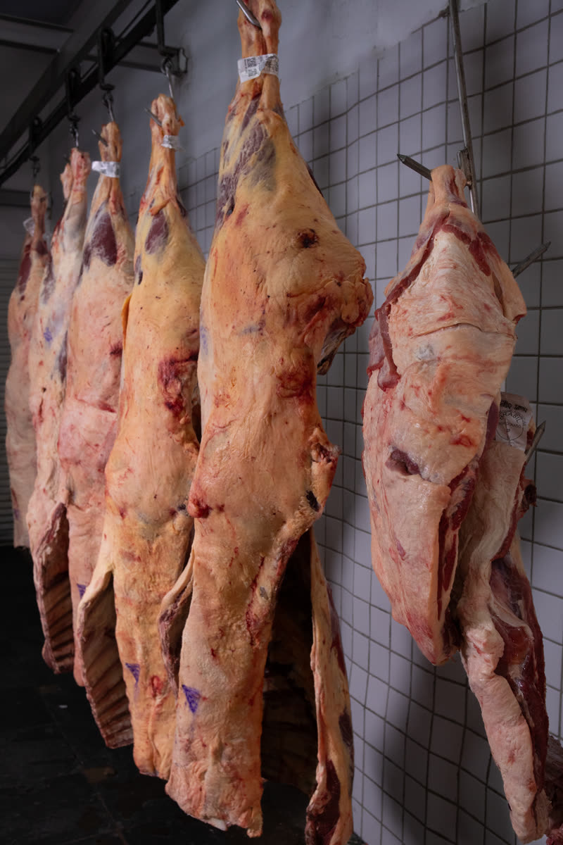 Carcaças bovinas penduradas na câmara fria